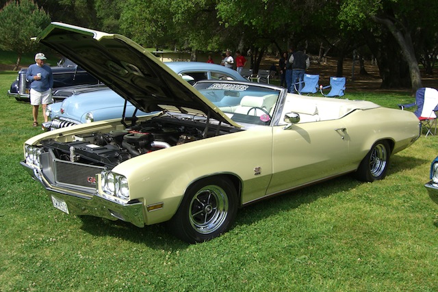 McClelland-Skylark