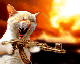 FunkyNova66's Avatar