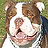 thefreak's Avatar