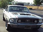 sweetstang68347's Avatar