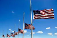 fleetus macmullitz's Avatar